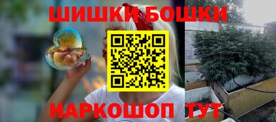 индика Кулебаки