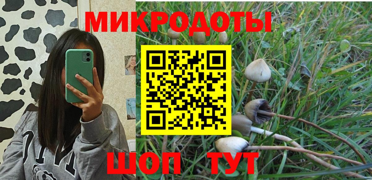 Димитровград  Галлюциногенные грибы мухоморы  Вход с VPN 